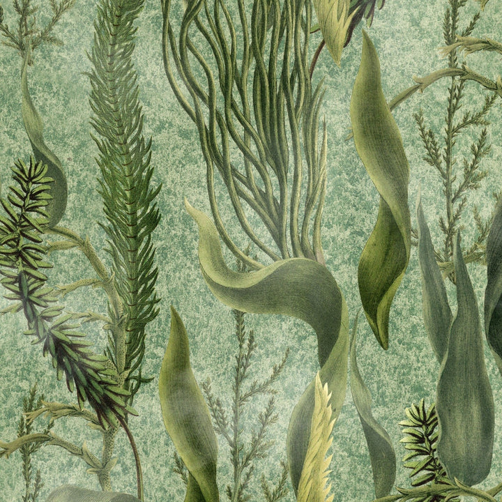 Aquatic Plants behang-Mind the Gap-wallpaper-tapete-Green-300 cm (standaard)-Selected-Wallpapers-Interiors