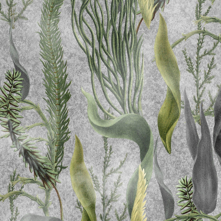 Aquatic Plants behang-Mind the Gap-wallpaper-tapete-Grey-300 cm (standaard)-Selected-Wallpapers-Interiors