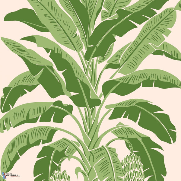 Banana Tree-Behang-Tapete-Thibaut-Pink and Green-Rol-T13917-Selected Wallpapers