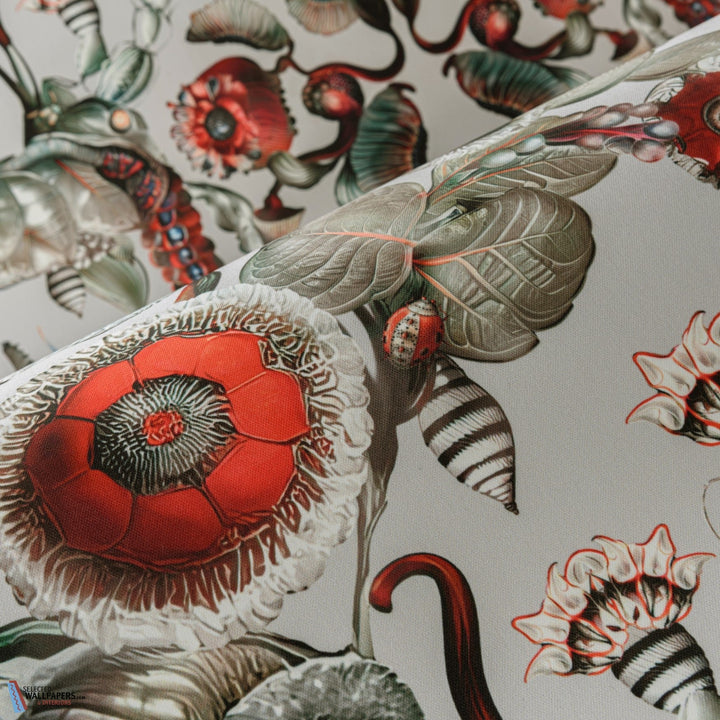 Coccinella Bella-Moooi-behang-tapete-wallpaper-Selected-Wallpapers-Interiors