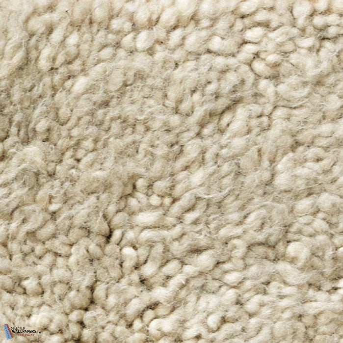 Desert Dream vloerkleed-Vloerkleed-JAB-Teppich-Rug-375-M2-Selected Interiors