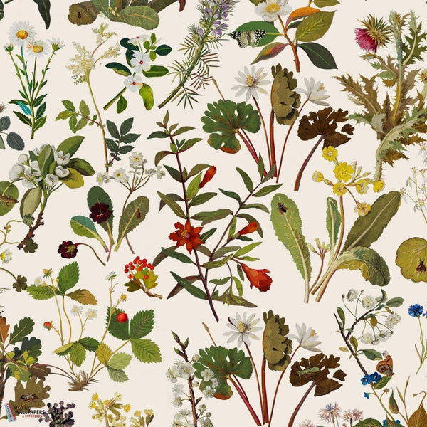 Herbarium-House of Hackney-behang-tapete-wallpaper-Ecru-200 cm-Selected-Wallpapers-Interiors