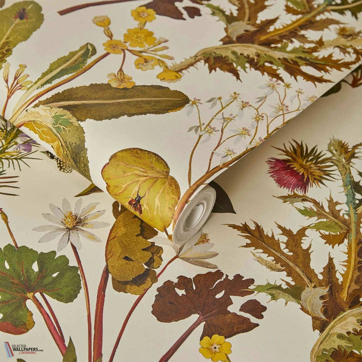 Herbarium-House of Hackney-behang-tapete-wallpaper-Selected-Wallpapers-Interiors