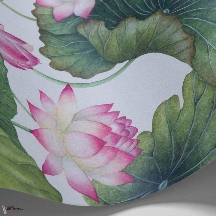 Lily Lotus behang-Cole & Son-wallpaper-tapete-Pink & White-Rol-Selected-Wallpapers-Interiors