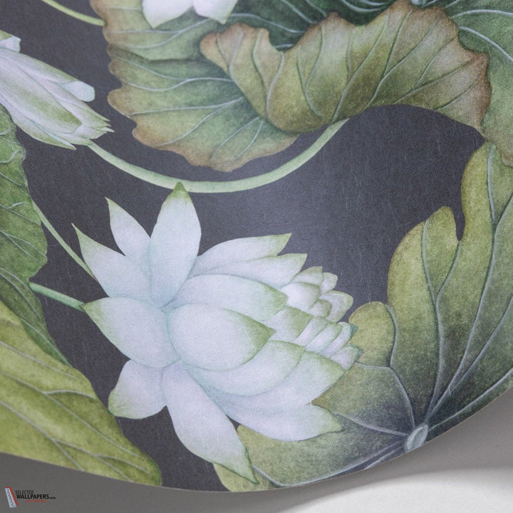 Lily Lotus behang-Cole & Son-wallpaper-tapete-White on Charcoal-Rol-Selected-Wallpapers-Interiors