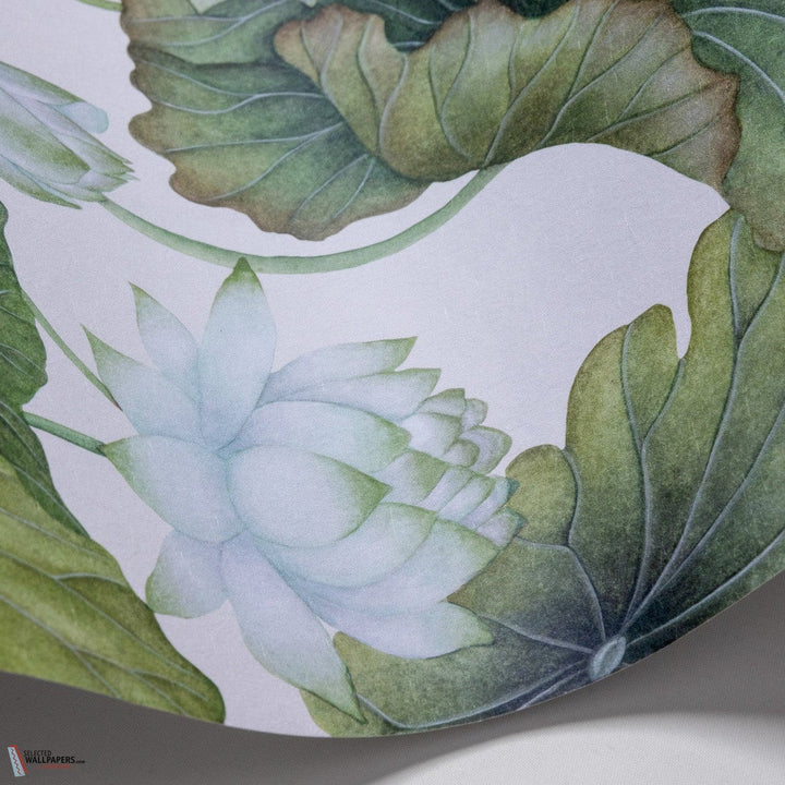 Lily Lotus behang-Cole & Son-wallpaper-tapete-White on Cream-Rol-Selected-Wallpapers-Interiors