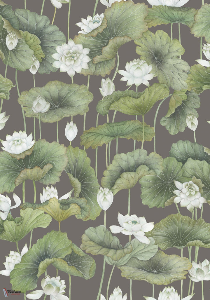 Lily Lotus behang-Cole & Son-wallpaper-tapete-Selected-Wallpapers-Interiors