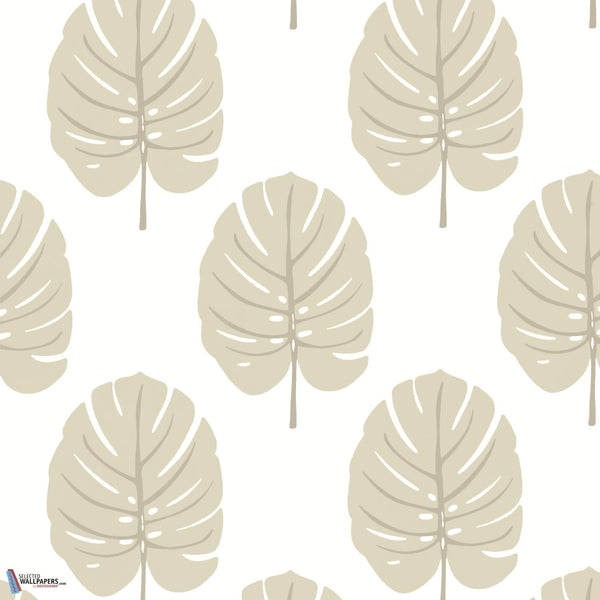 Monstera-Behang-Tapete-Thibaut-Beige-Rol-T13956-Selected Wallpapers