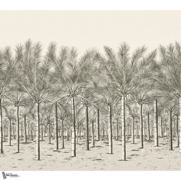 Palm Grove Mural-Behang-Tapete-Thibaut-Black Tea-Set-TM13950-Selected Wallpapers