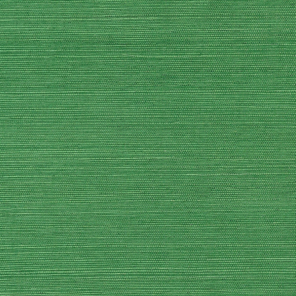 Shang Extra Fine Sisal-Thibaut-Emerald Green-Rol-Selected-Wallpapers-Interiors