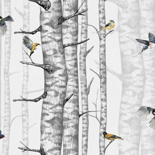 Birch Trees-Behang-Tapete-Coordonne-Grey01-Rol-9500040-Selected Wallpapers