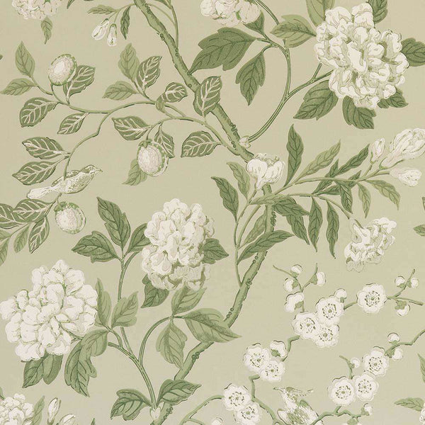 Emperor's Garden-behang-Tapete-GP&J Baker-Soft Green-Rol-BW45000.10-Selected Wallpapers