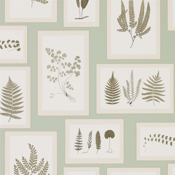 Fern Gallery-behang-Tapete-Sanderson-Blue/Sepia-Rol-215715-Selected Wallpapers