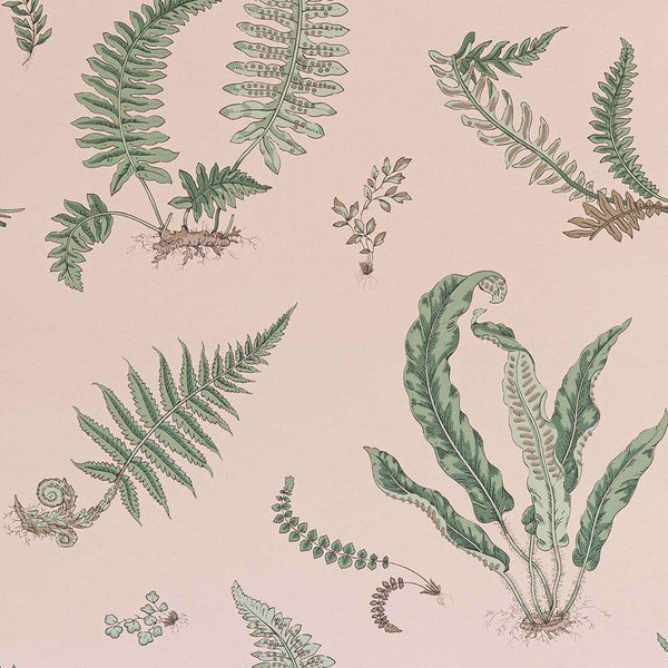 Ferns-behang-Tapete-GP&J Baker-Blush-Rol-BW45044.11-Selected Wallpapers