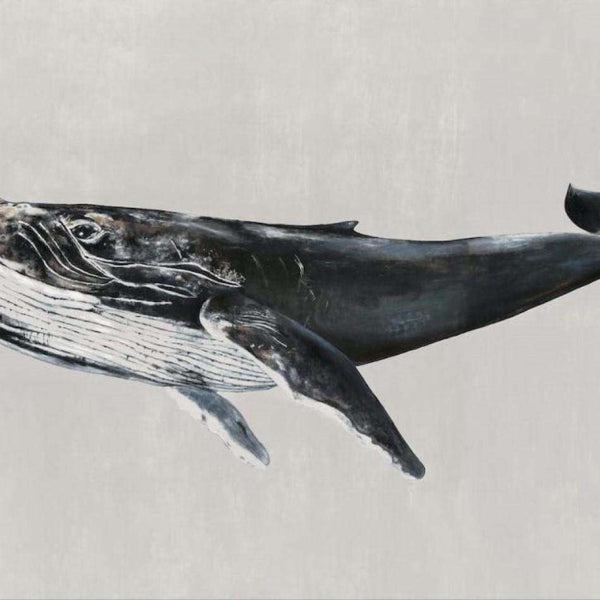 Humpback Whale-Behang-Tapete-Coordonne-Grey-Non Woven-9500103-Selected Wallpapers