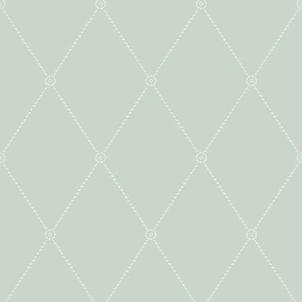 Large Georgian Rope Trellis-Behang-Tapete-Cole & Son-Duck Egg-Rol-100/13066-Selected Wallpapers