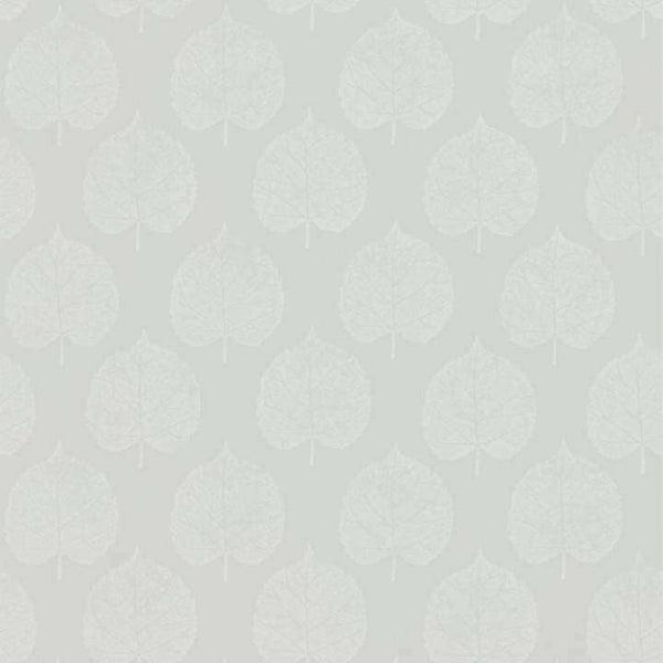 Lyme Leaf-behang-Tapete-Sanderson-Dove-Rol-216384-Selected Wallpapers