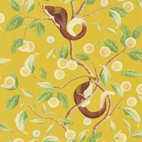 Nellie-Behang-Tapete-Harlequin-Honey-Rol-112905-Selected Wallpapers