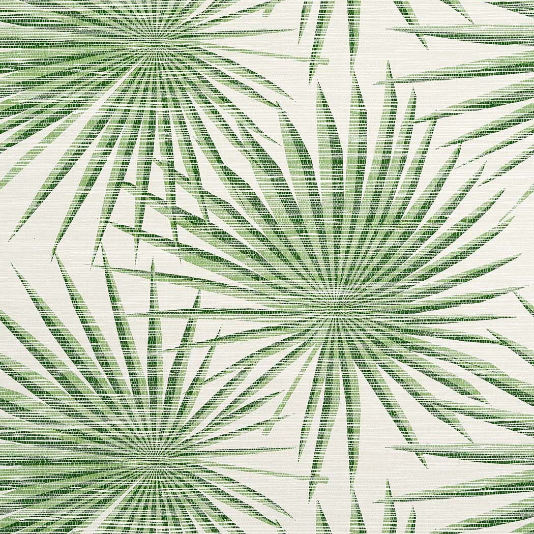 Papier peint tropical Palm Frond Vert  Thibaut