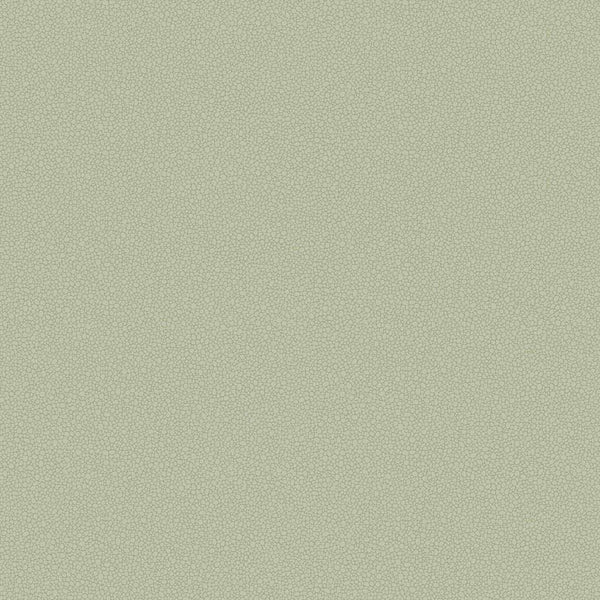 Pebble-Behang-Tapete-Cole & Son-Soft Olive-Rol-106/2027-Selected Wallpapers