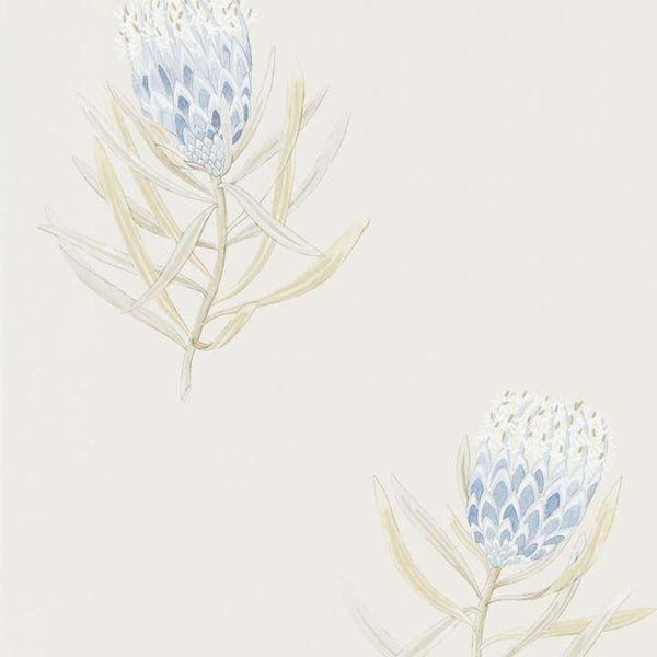 Protea Flower-behang-Tapete-Sanderson-China Blue-Rol-216327-Selected Wallpapers