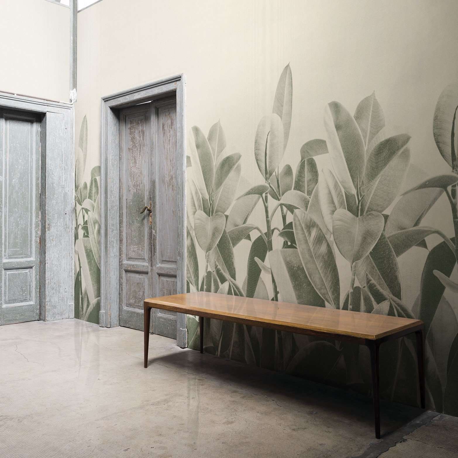 Wedstrijd Onnodig creëren Rubber Plant behang van LondonArt wallpaper – Selected Wallpapers