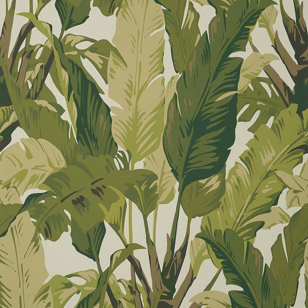 Travelers Palm-Behang-Tapete-Thibaut-Sage-Rol-T10131-Selected Wallpapers