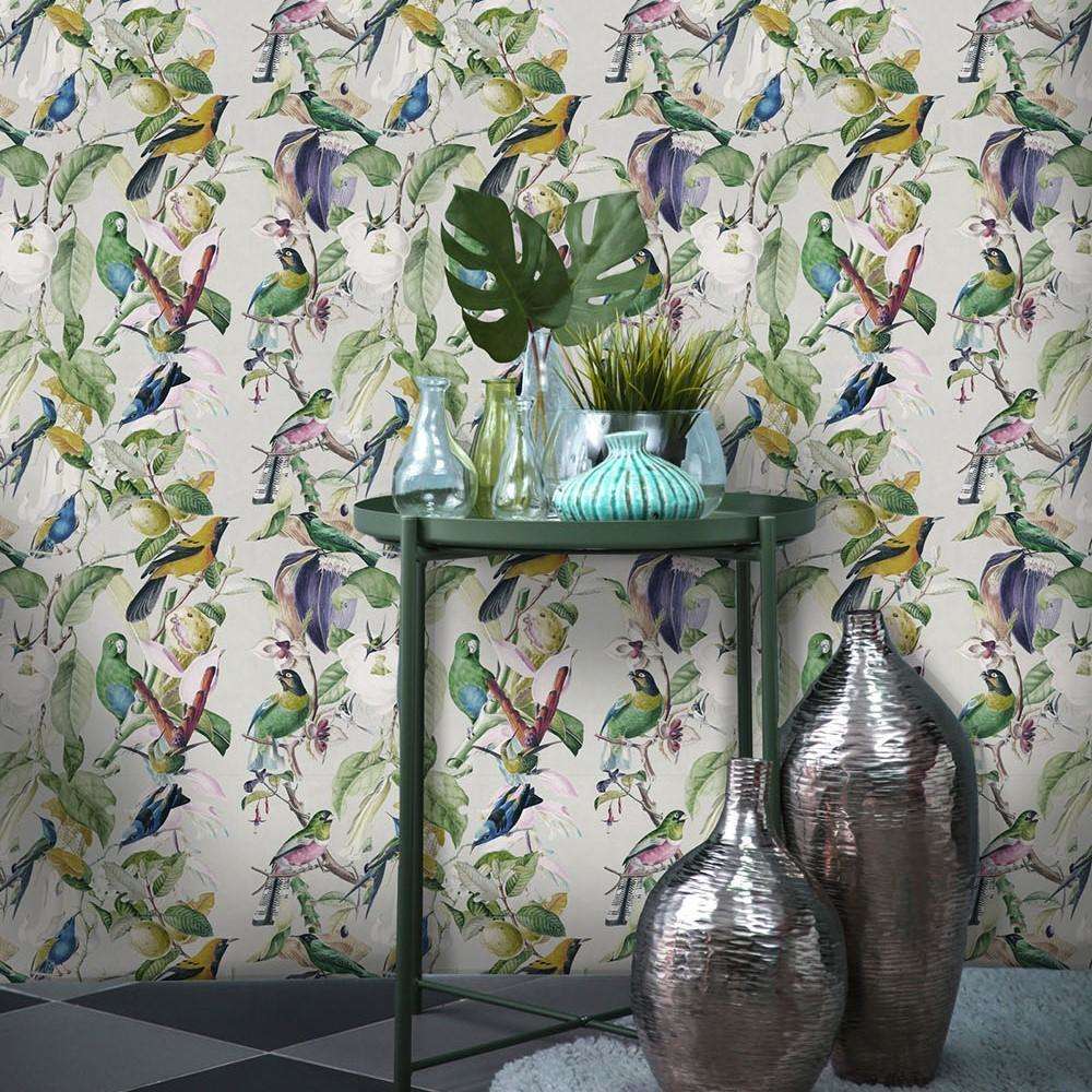 HD wallpaper: Bird, Tropical bird, Color, Tree, Sit, animals in the wild |  Wallpaper Flare