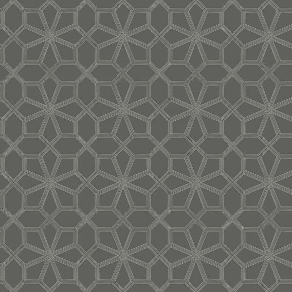 Wolsey Stars-behang-Tapete-Cole & Son-Chalk on Charcoal-Rol-118/16037-Selected Wallpapers