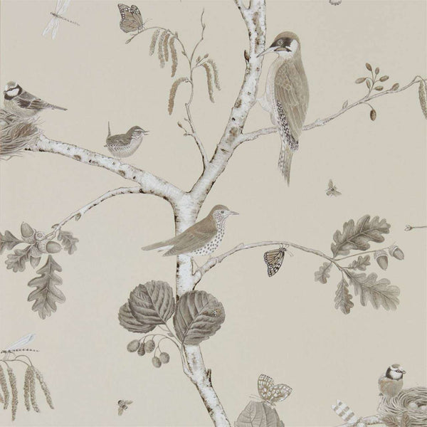 Woodland Chorus-behang-Tapete-Sanderson-Sepia/Neutral-Rol-215704-Selected Wallpapers